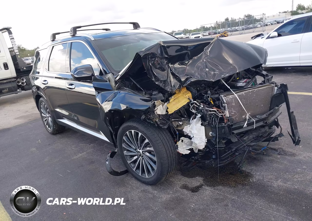 2023 Hyundai Palisade Calligraphy VIN:KM8R74GE5PU591582 - 1