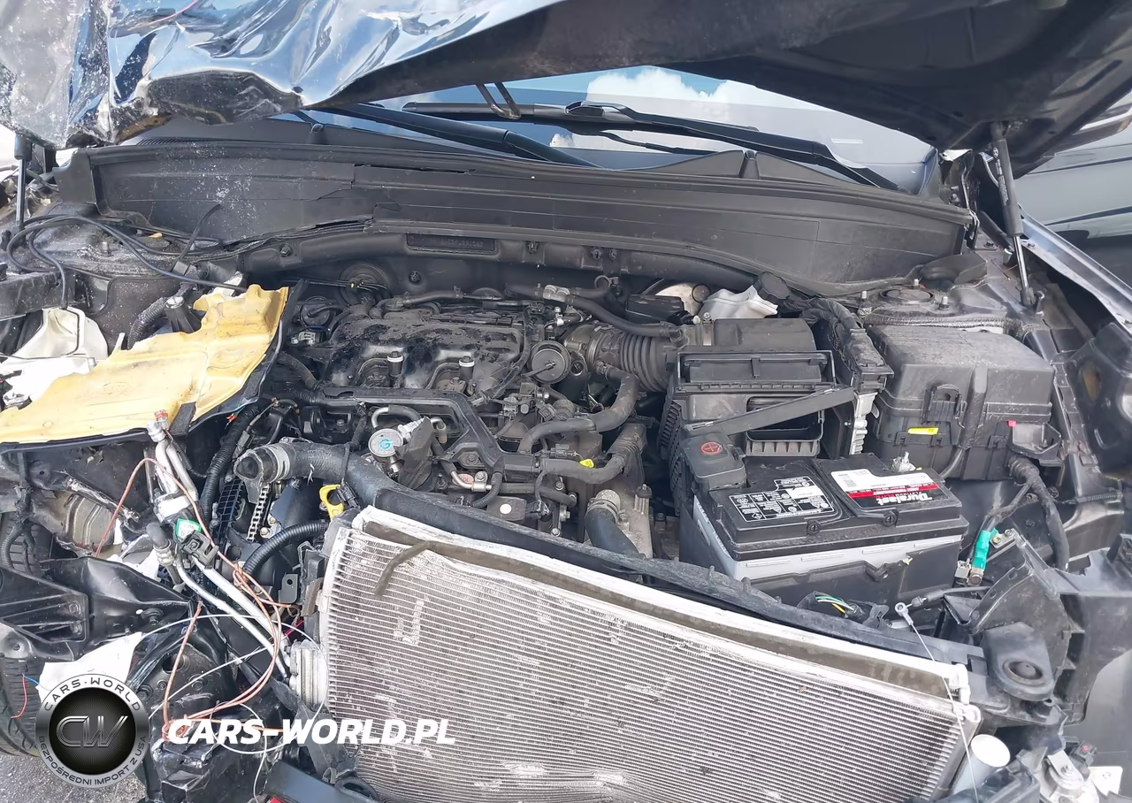 2023 Hyundai Palisade Calligraphy VIN:KM8R74GE5PU591582 - 10