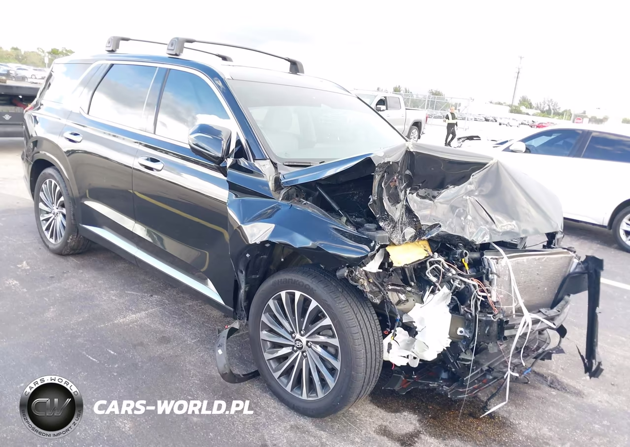 2023 Hyundai Palisade Calligraphy VIN:KM8R74GE5PU591582 - 6