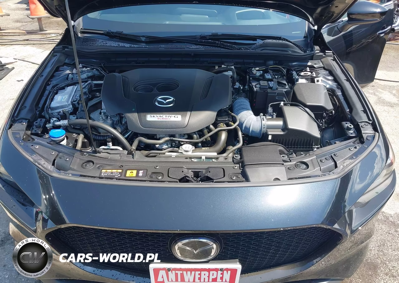 2023 Mazda Mazda3 2.5 Turbo VIN:JM1BPBJY7P1600958 - 10