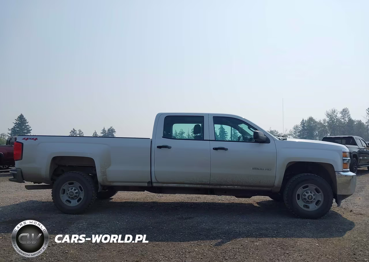 2018 Chevrolet Silverado 2500Hd Wt VIN:1GC1KUEG7JF261085 - 13