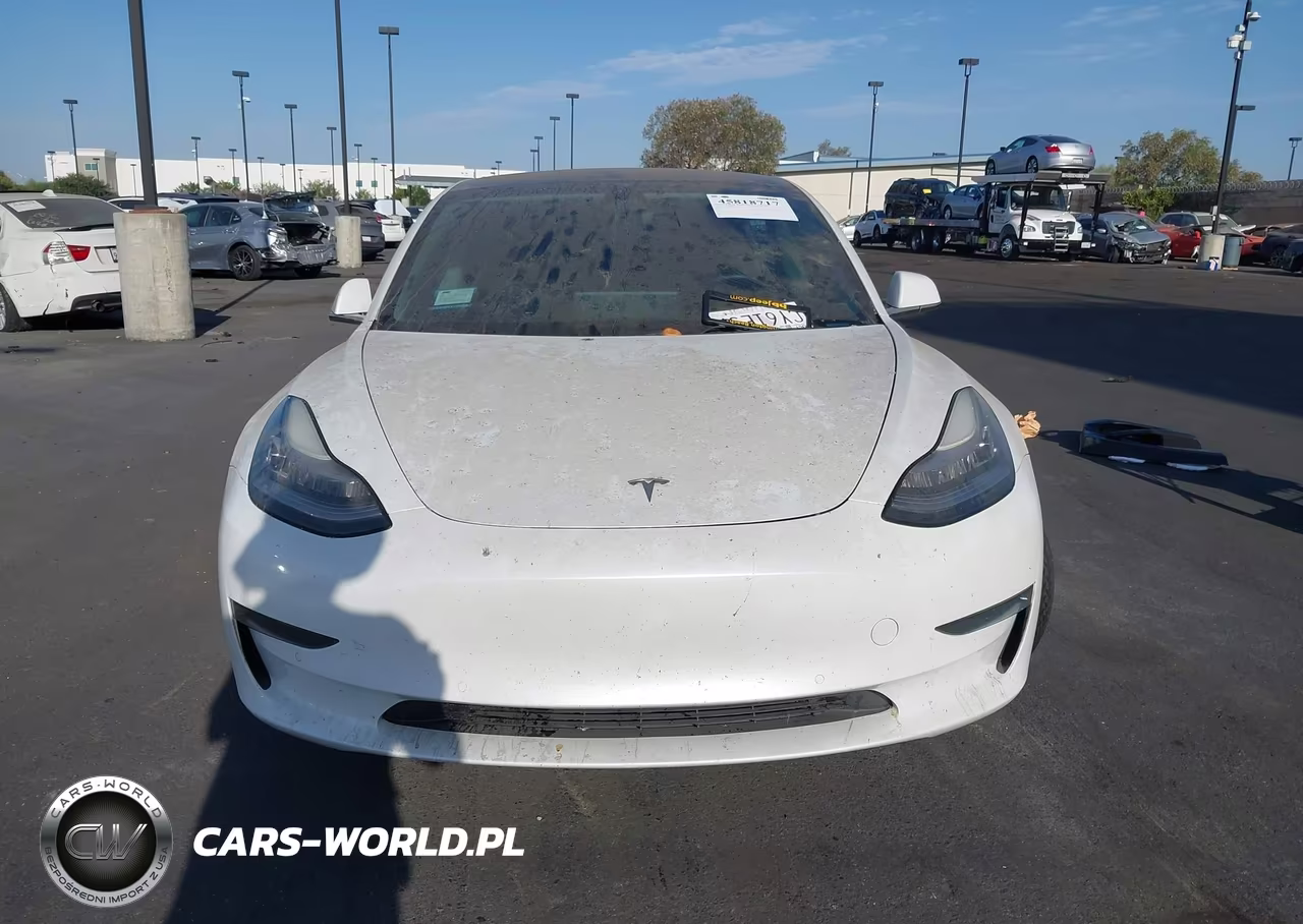 2020 Tesla Model 3 Standard Range Plus Rear-Wheel Drive-Standard Range Rear-Wheel Drive VIN:5YJ3E1EA4LF800683 - 12