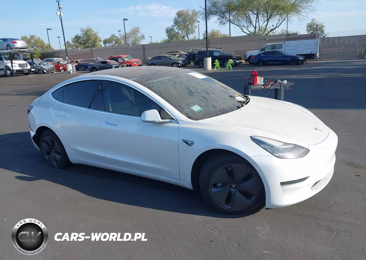 2020 Tesla Model 3 Standard Range Plus Rear-Wheel Drive-Standard Range Rear-Wheel Drive VIN:5YJ3E1EA4LF800683 - 13