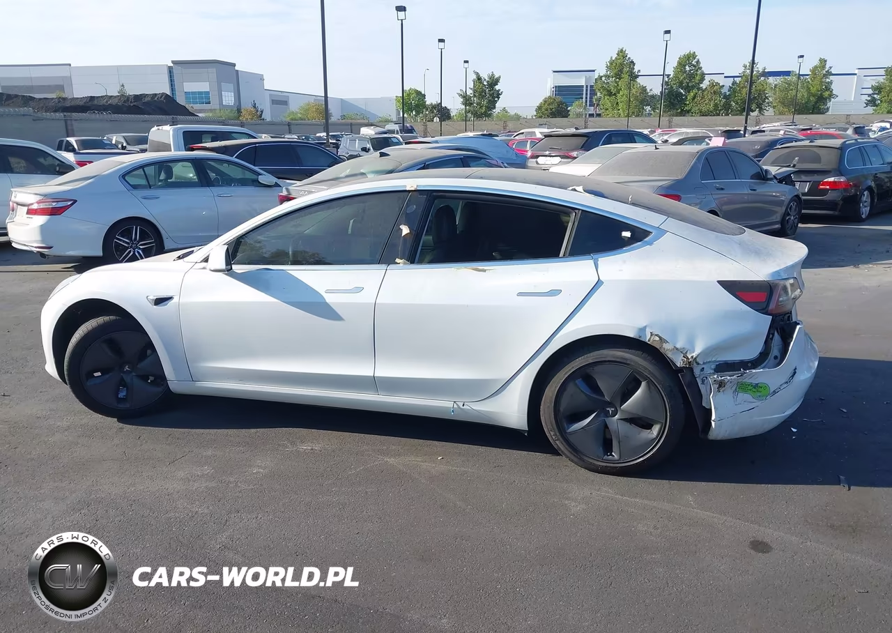 2020 Tesla Model 3 Standard Range Plus Rear-Wheel Drive-Standard Range Rear-Wheel Drive VIN:5YJ3E1EA4LF800683 - 14