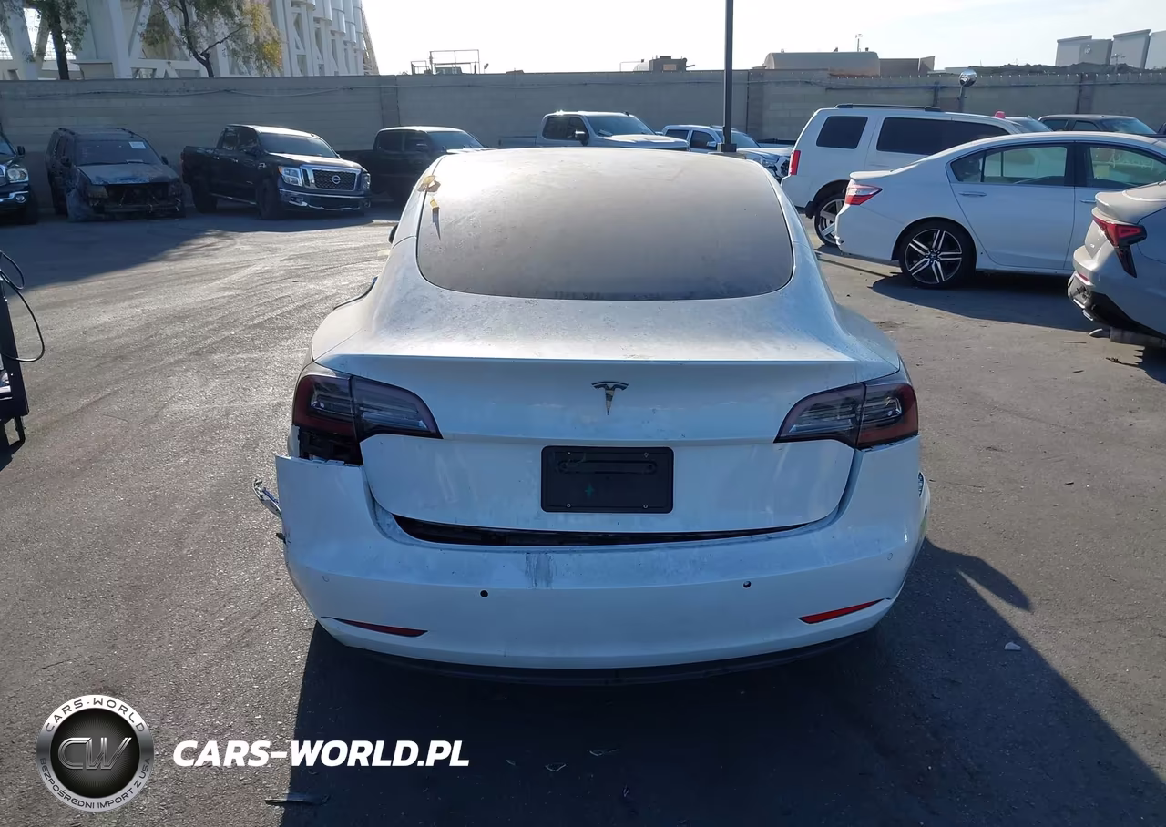 2020 Tesla Model 3 Standard Range Plus Rear-Wheel Drive-Standard Range Rear-Wheel Drive VIN:5YJ3E1EA4LF800683 - 16