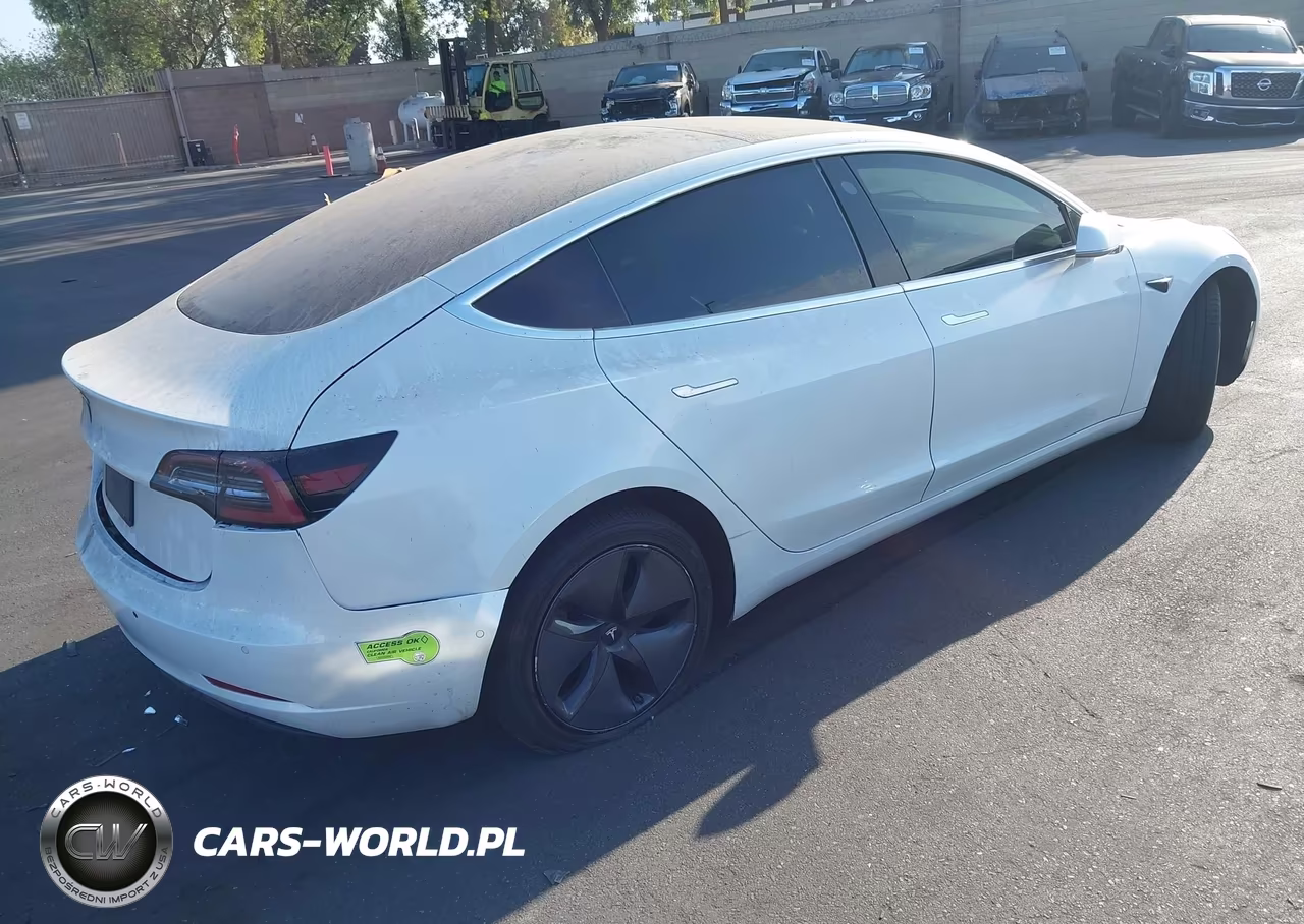 2020 Tesla Model 3 Standard Range Plus Rear-Wheel Drive-Standard Range Rear-Wheel Drive VIN:5YJ3E1EA4LF800683 - 19