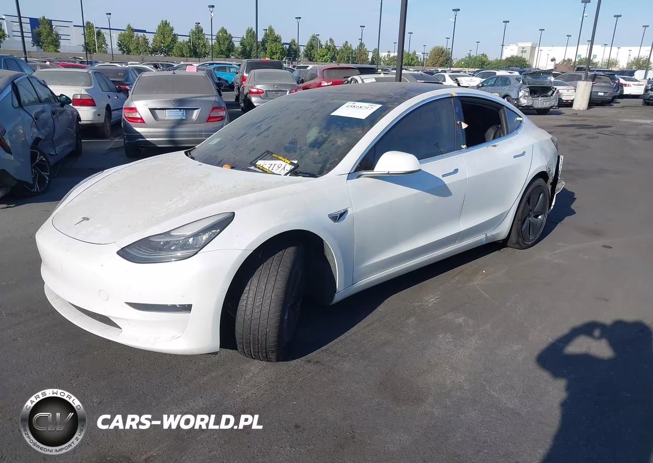 2020 Tesla Model 3 Standard Range Plus Rear-Wheel Drive-Standard Range Rear-Wheel Drive VIN:5YJ3E1EA4LF800683 - 2