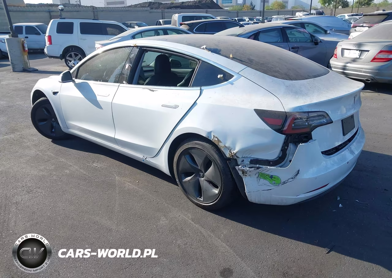 2020 Tesla Model 3 Standard Range Plus Rear-Wheel Drive-Standard Range Rear-Wheel Drive VIN:5YJ3E1EA4LF800683 - 3