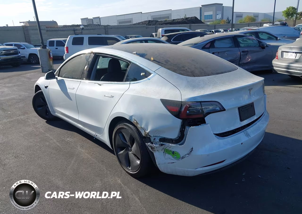 2020 Tesla Model 3 Standard Range Plus Rear-Wheel Drive-Standard Range Rear-Wheel Drive VIN:5YJ3E1EA4LF800683 - 6