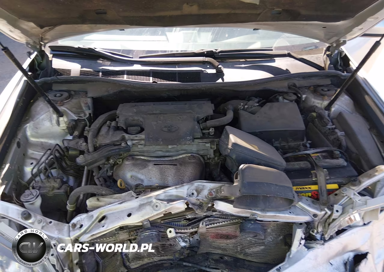 2014 Toyota Camry Se VIN:4T1BF1FK5EU324515 - 10
