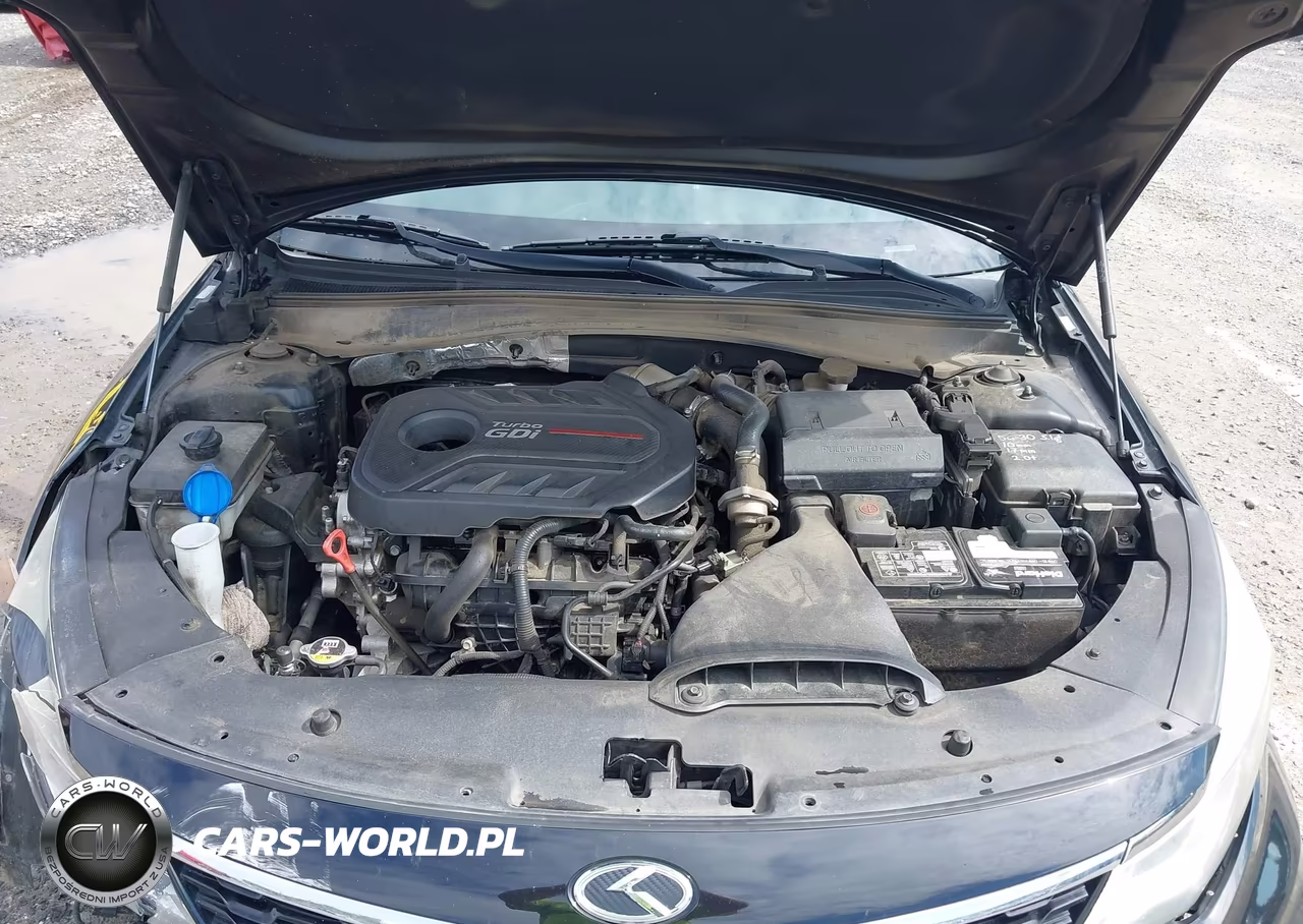 2019 Kia Optima Sx Turbo VIN:5XXGW4L29KG373136 - 10