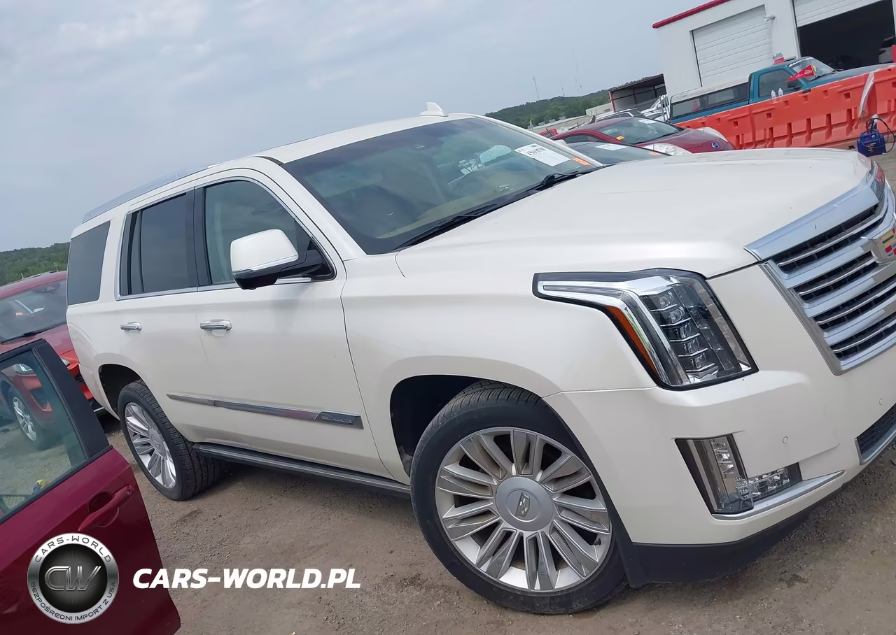 2015 Cadillac Escalade Platinum VIN:1GYS4PKJ3FR697979 - 13