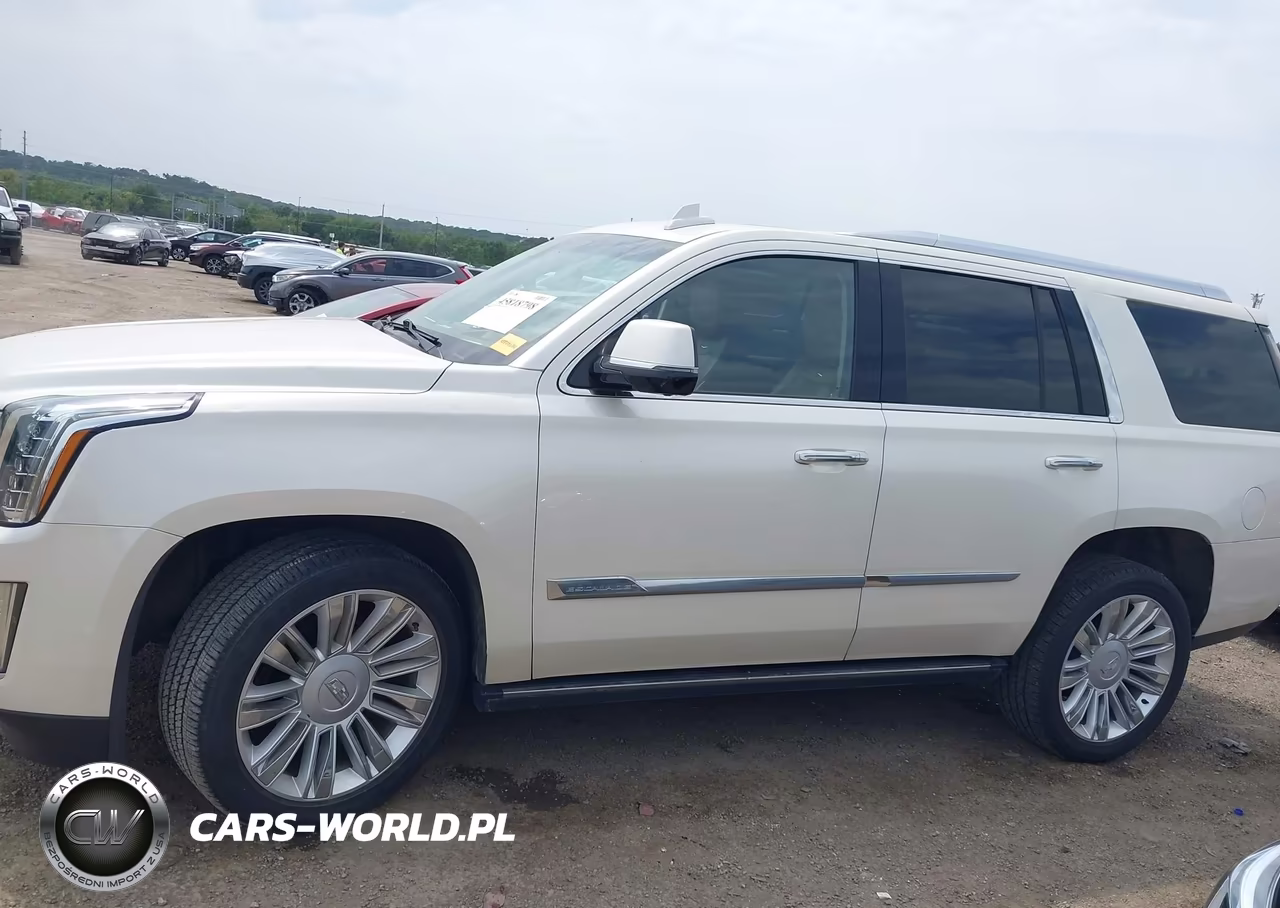 2015 Cadillac Escalade Platinum VIN:1GYS4PKJ3FR697979 - 14