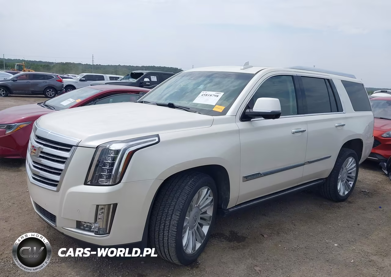 2015 Cadillac Escalade Platinum VIN:1GYS4PKJ3FR697979 - 2