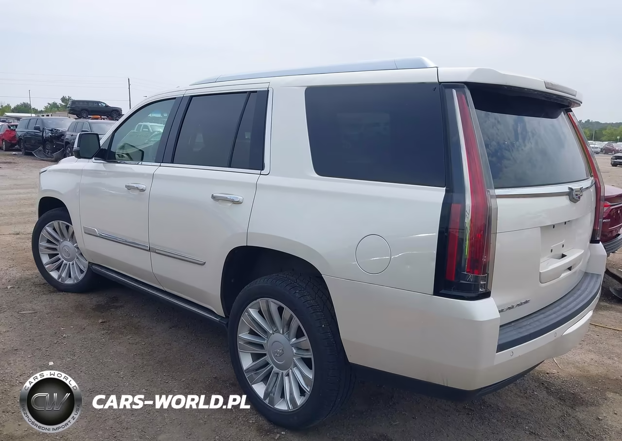 2015 Cadillac Escalade Platinum VIN:1GYS4PKJ3FR697979 - 3
