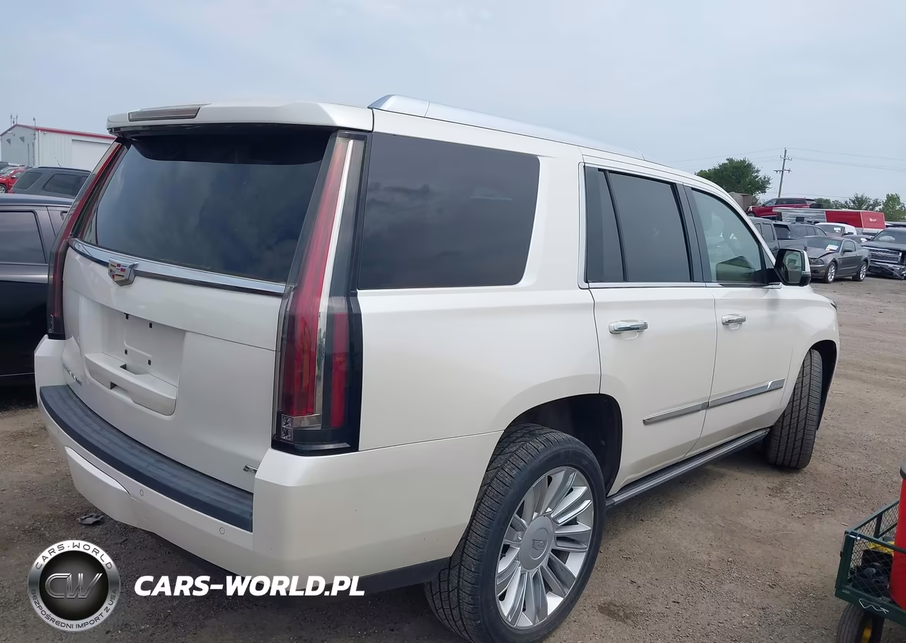 2015 Cadillac Escalade Platinum VIN:1GYS4PKJ3FR697979 - 4