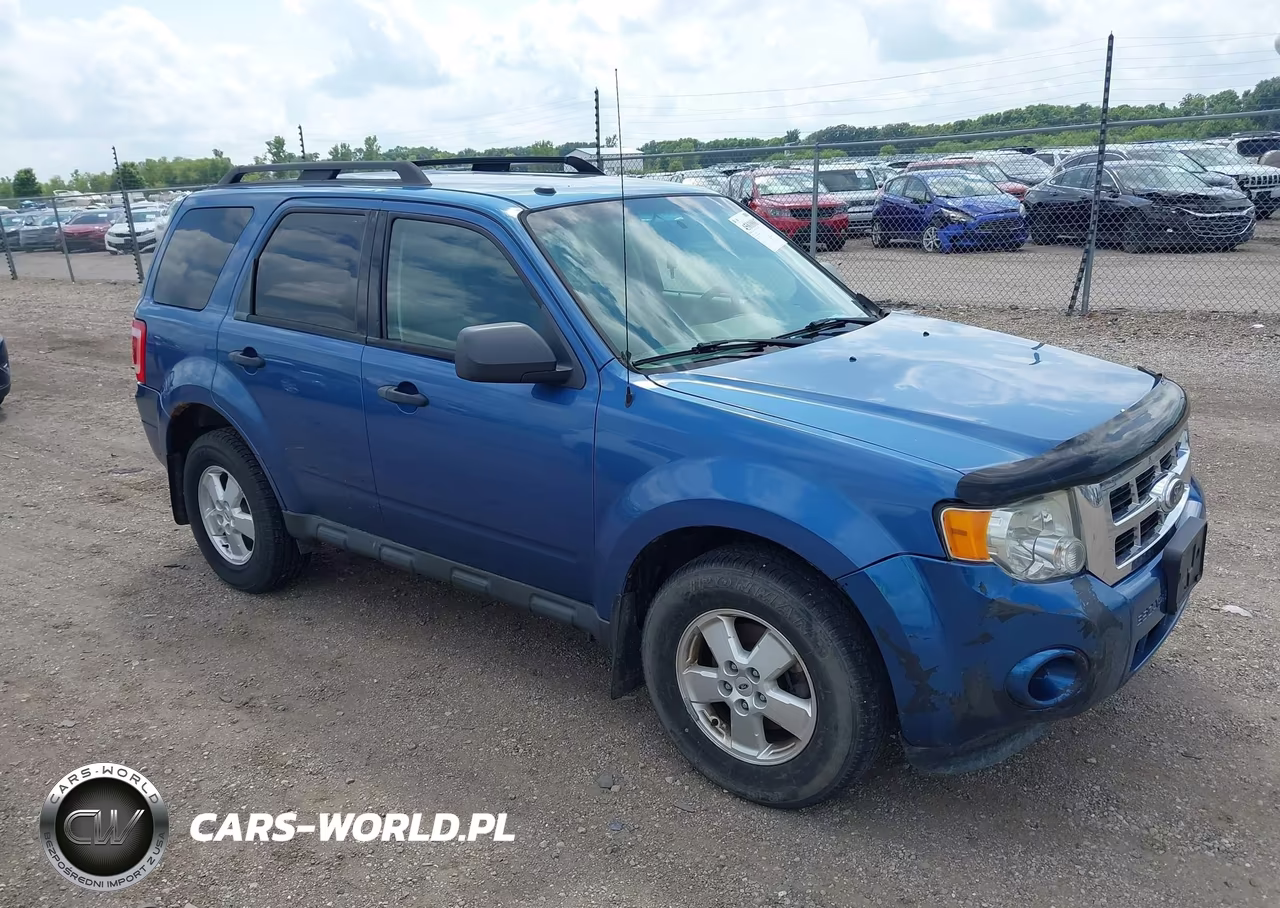 2010 Ford Escape Xlt