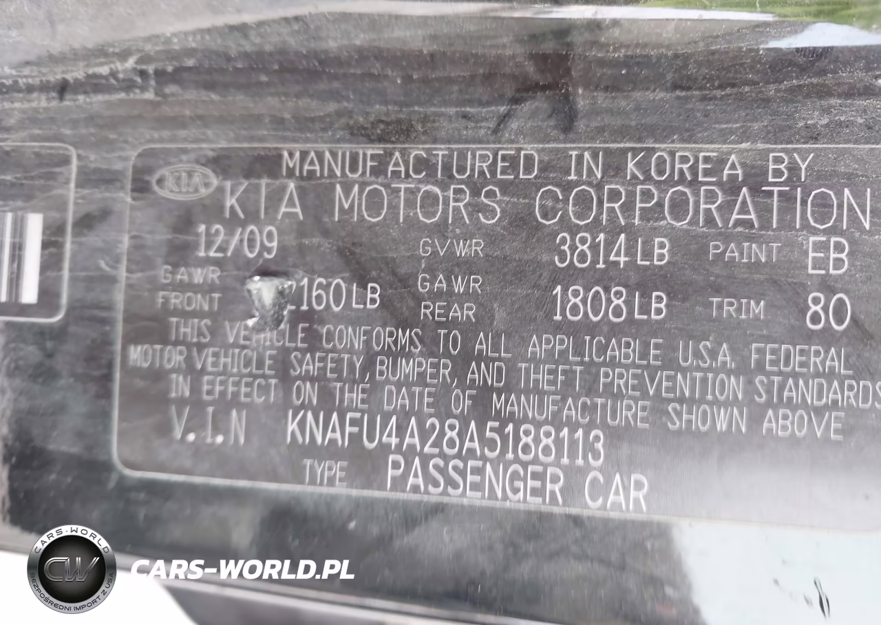 2010 Kia Forte Ex VIN:KNAFU4A28A5188113 - 9