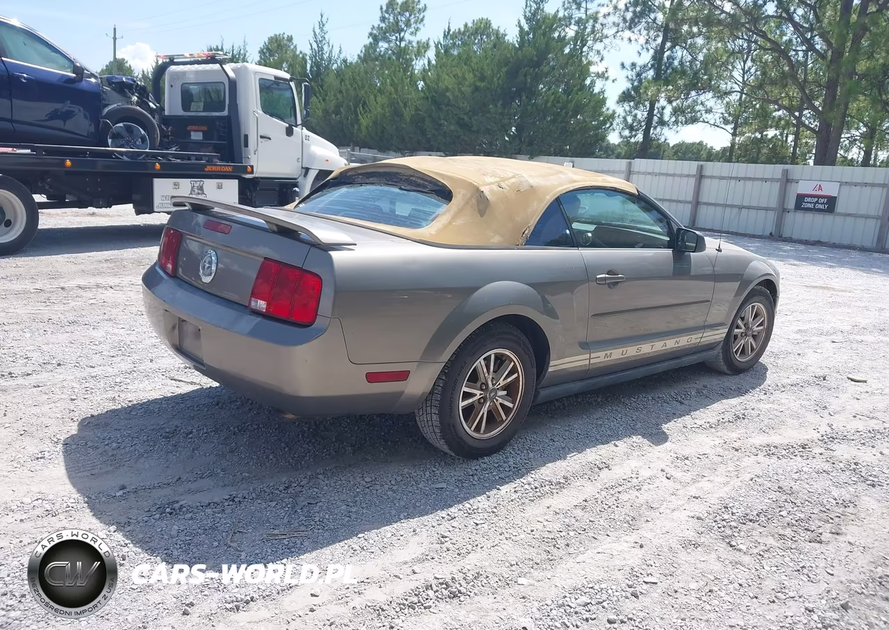 2005 Ford Mustang VIN:1ZVFT84N755225268 - 4