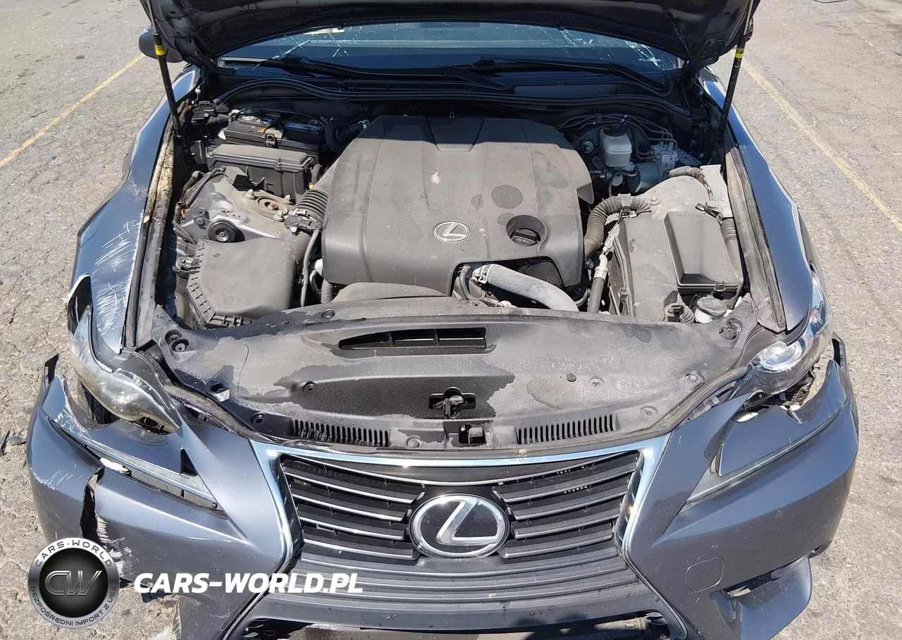 2015 Lexus Is 250 VIN:JTHBF1D21F5062896 - 10
