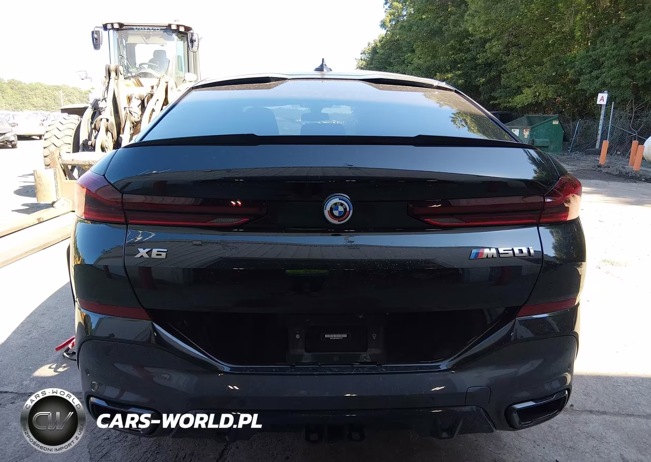 2023 BMW X6 M50I VIN:5UXCY8C0XP9N77316 - 16