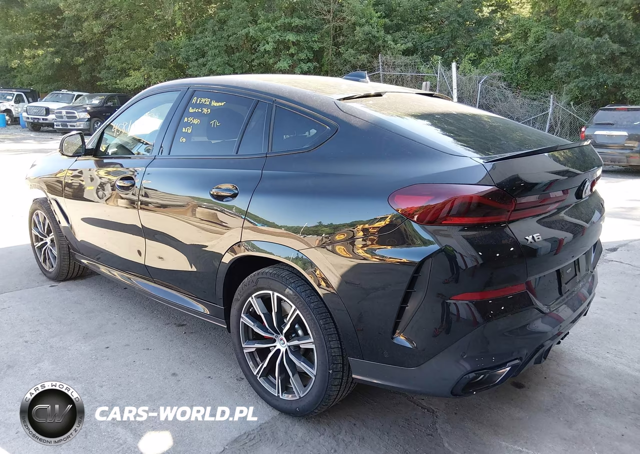 2023 BMW X6 M50I VIN:5UXCY8C0XP9N77316 - 3