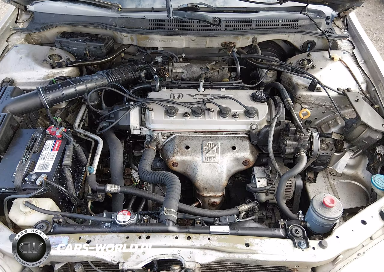 1998 Honda Accord Lx VIN:1HGCG564XWA235400 - 10