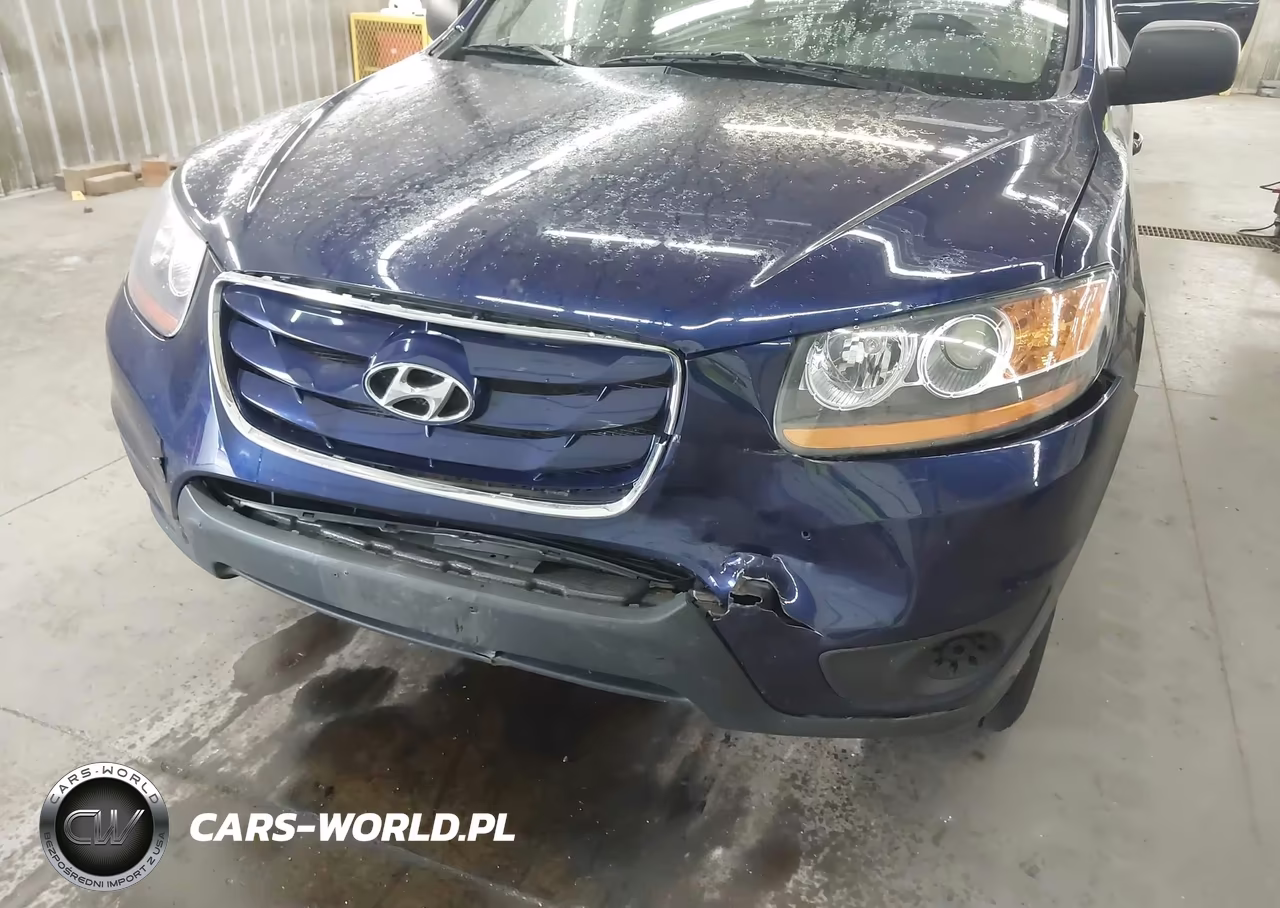 2010 Hyundai Santa Fe Gls VIN:5NMSGDAB4AH398486 - 6