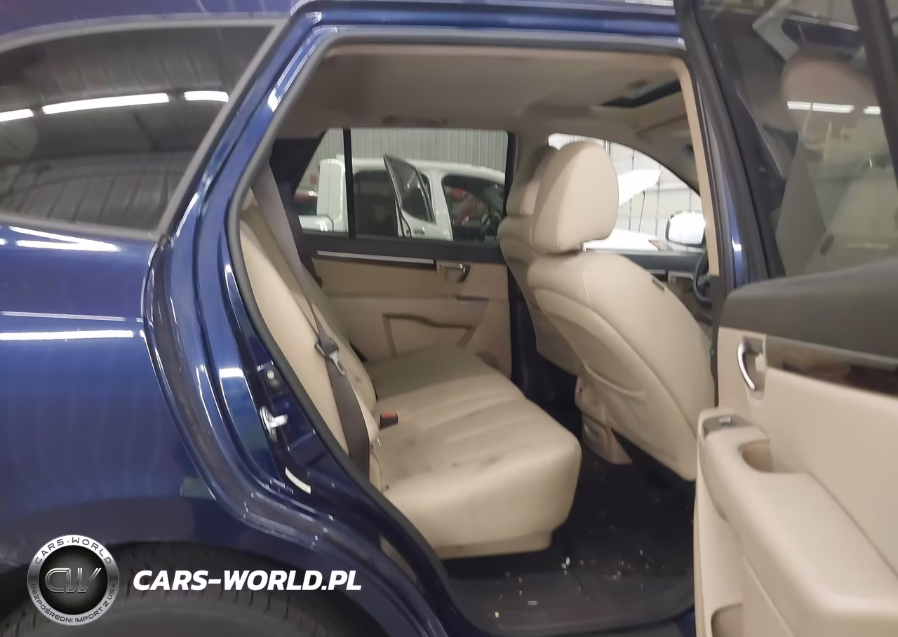 2010 Hyundai Santa Fe Gls VIN:5NMSGDAB4AH398486 - 8