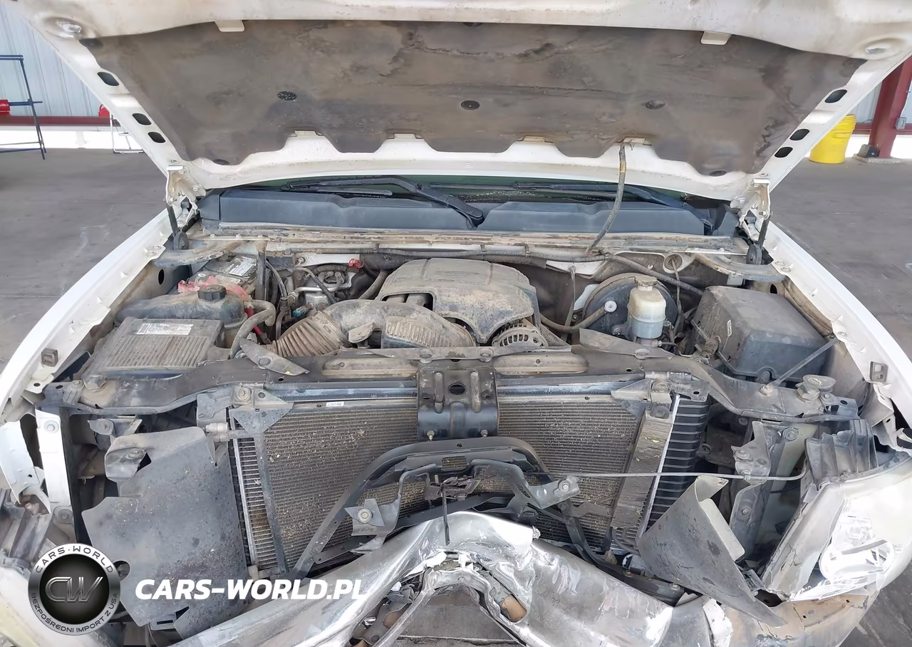 2009 Chevrolet Silverado 1500 Work Truck VIN:1GCEC14C19Z182887 - 10