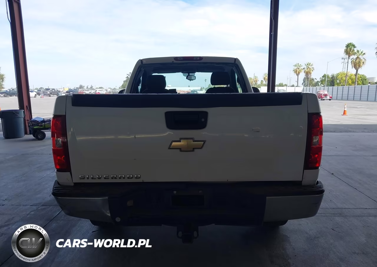 2009 Chevrolet Silverado 1500 Work Truck VIN:1GCEC14C19Z182887 - 17