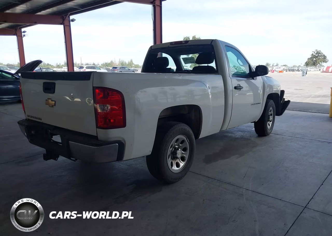 2009 Chevrolet Silverado 1500 Work Truck VIN:1GCEC14C19Z182887 - 4