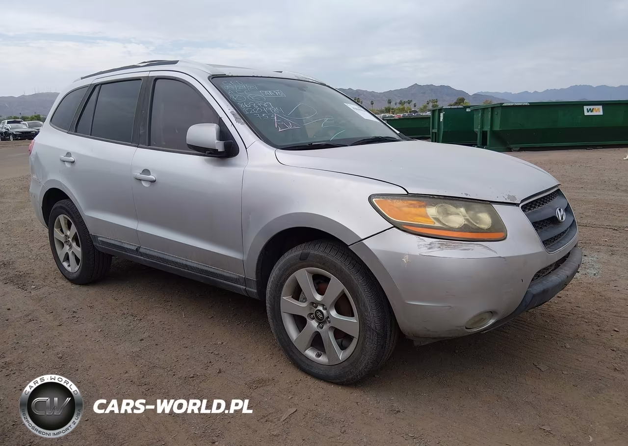 2009 Hyundai Santa Fe Se