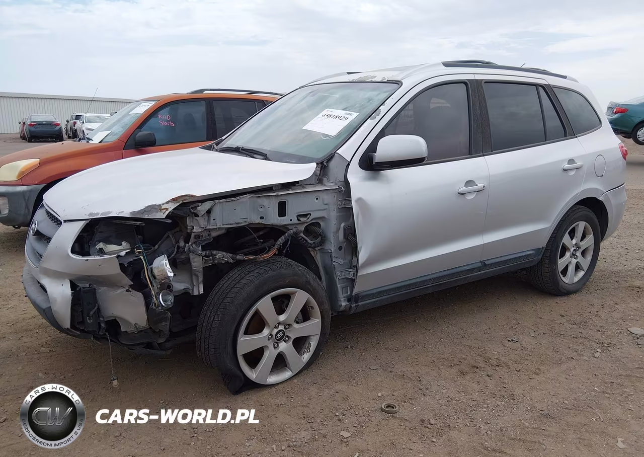 2009 Hyundai Santa Fe Se VIN:5NMSH13E49H242513 - 2