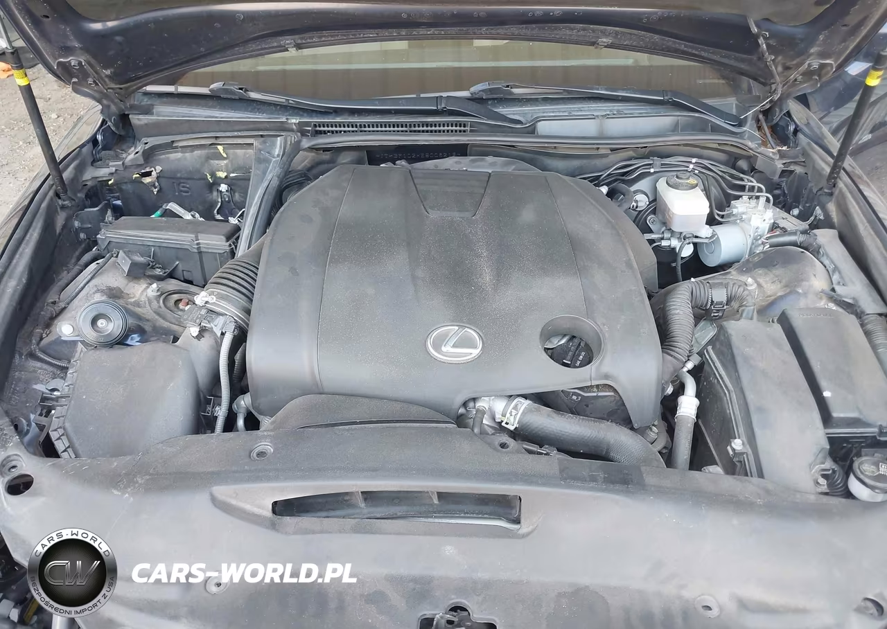 2014 Lexus Is 250 VIN:JTHBF1D2XE5008219 - 10