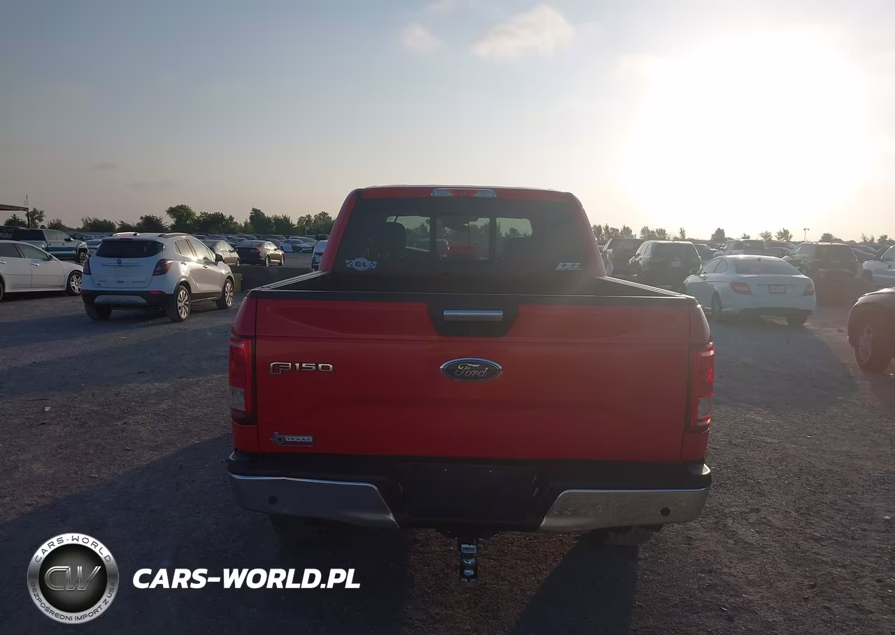 2016 Ford F-150 Xlt VIN:1FTEW1CP9GKD62717 - 16
