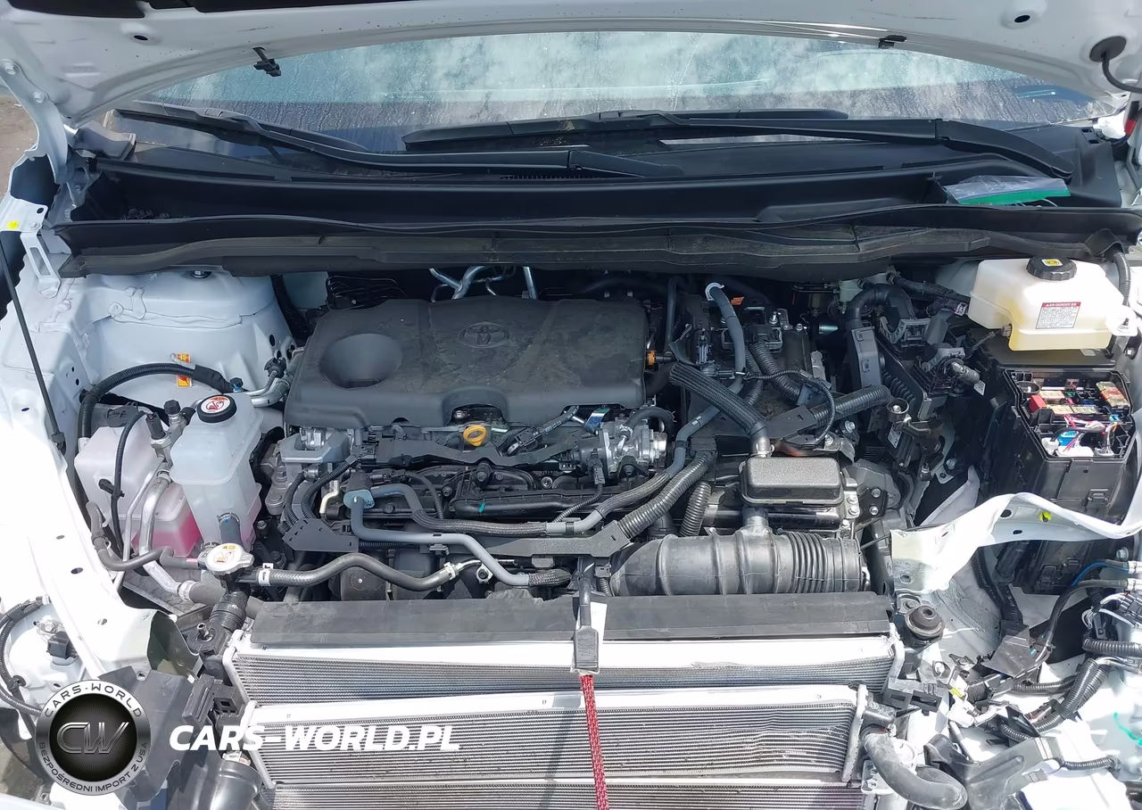 2025 Toyota Sienna Platinum VIN:5TDERKEC2SS289408 - 10