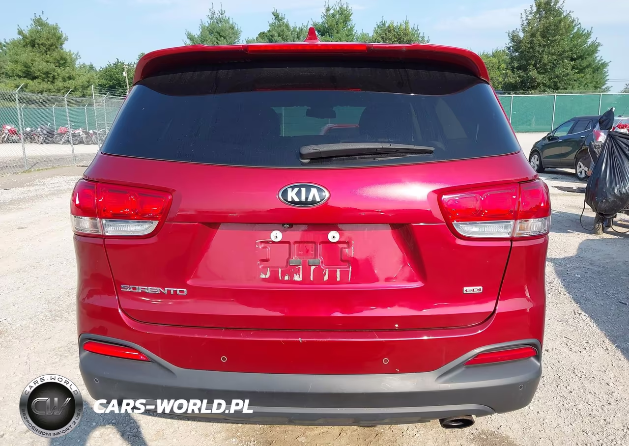 2018 Kia Sorento 2.4L Lx VIN:5XYPG4A30JG416572 - 16