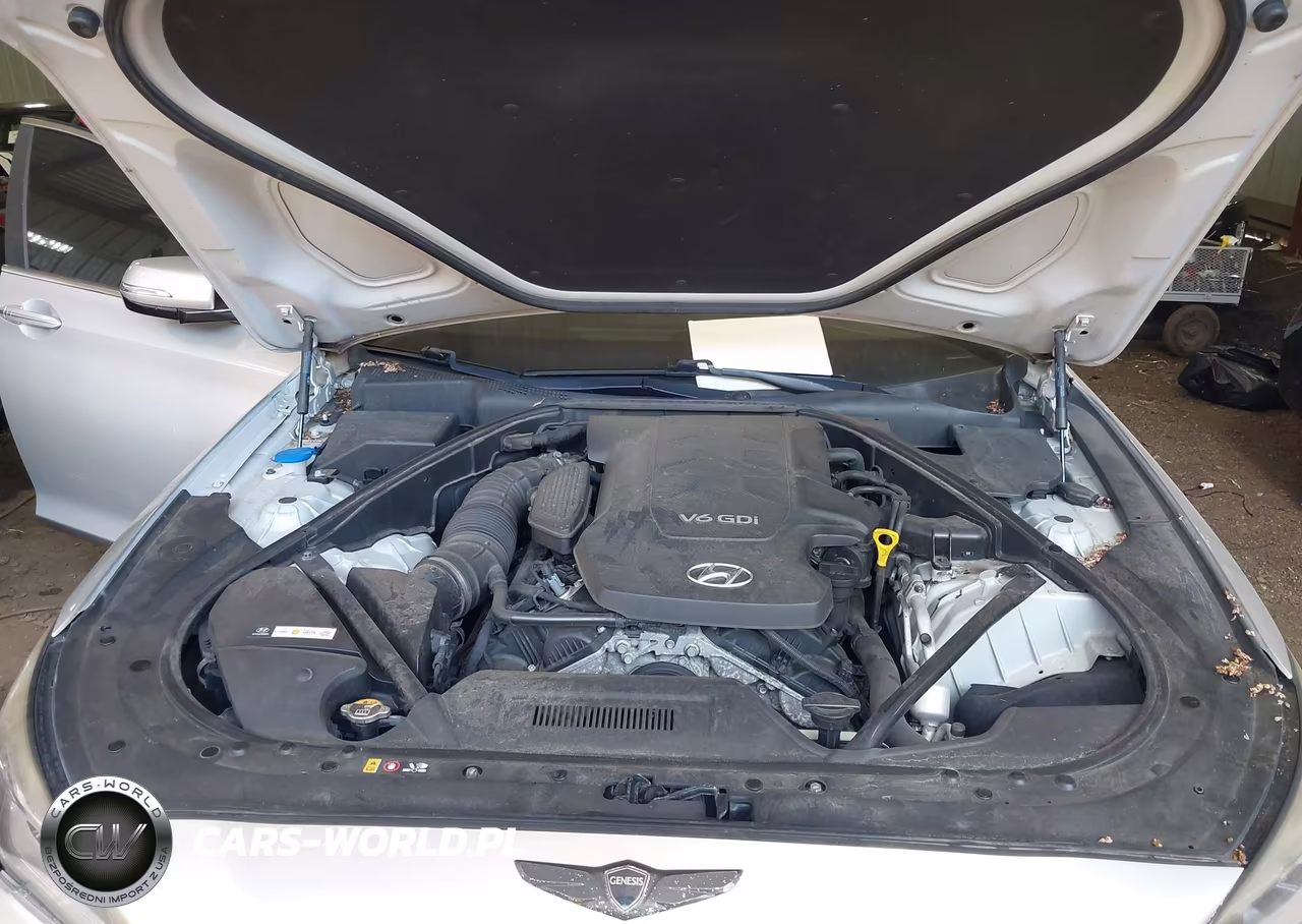 2015 Hyundai Genesis 3.8 VIN:KMHGN4JE4FU065139 - 10