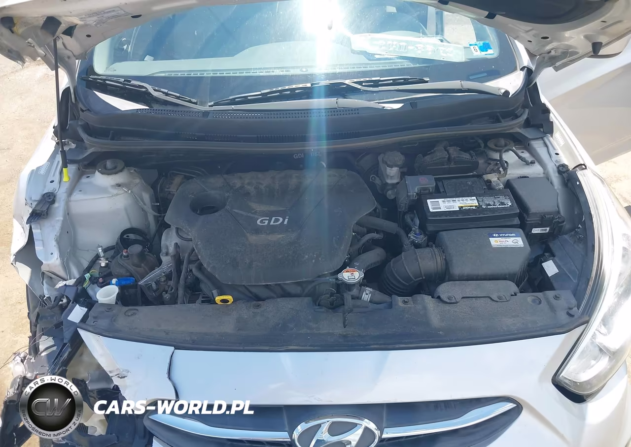 2016 Hyundai Accent Se VIN:KMHCT4AE7GU943510 - 10