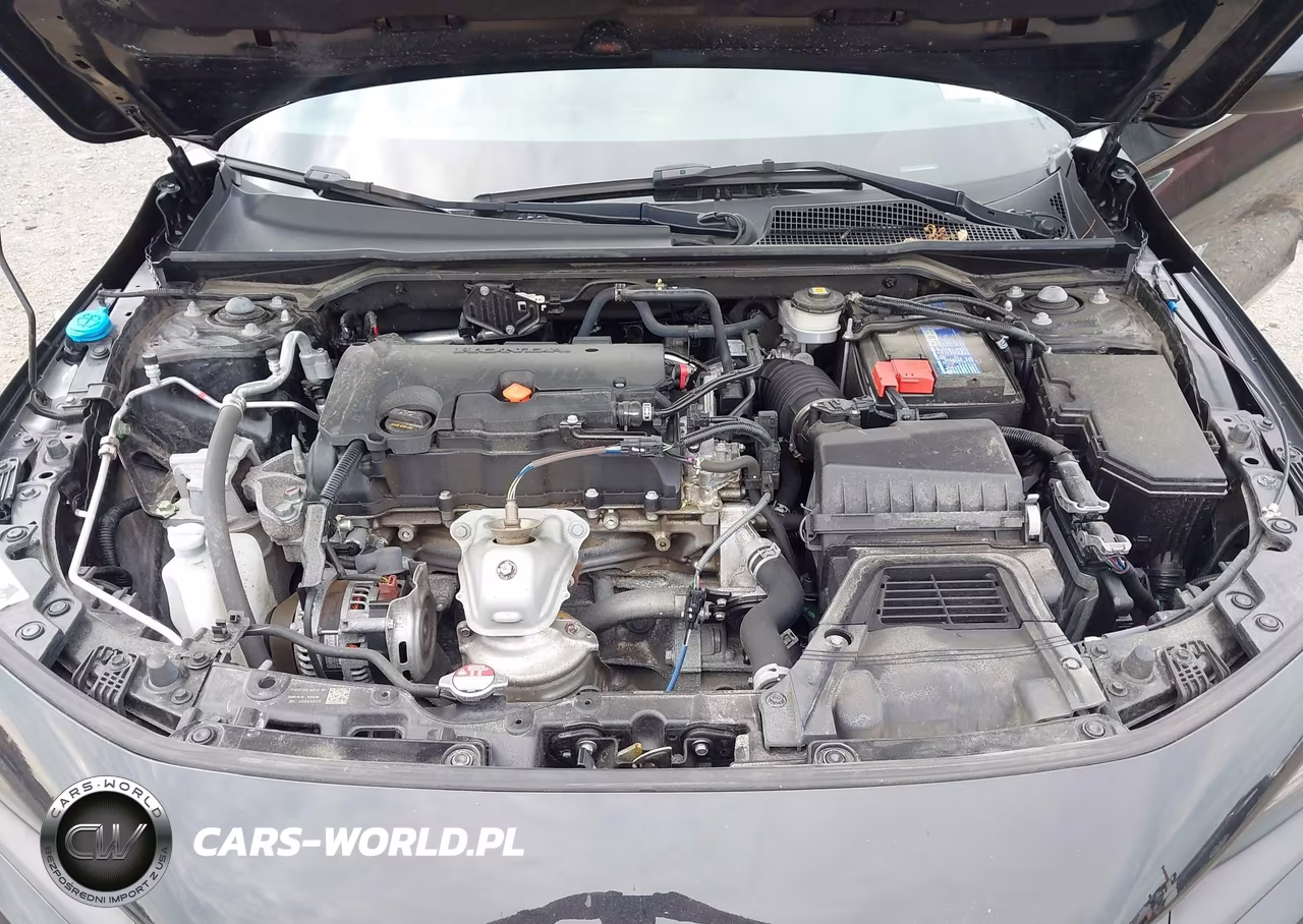 2024 Honda Civic Sport VIN:2HGFE2F55RH536804 - 10