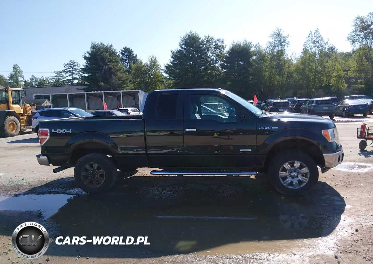 2012 Ford F-150 Xlt VIN:1FTFX1ET3CFB39197 - 13