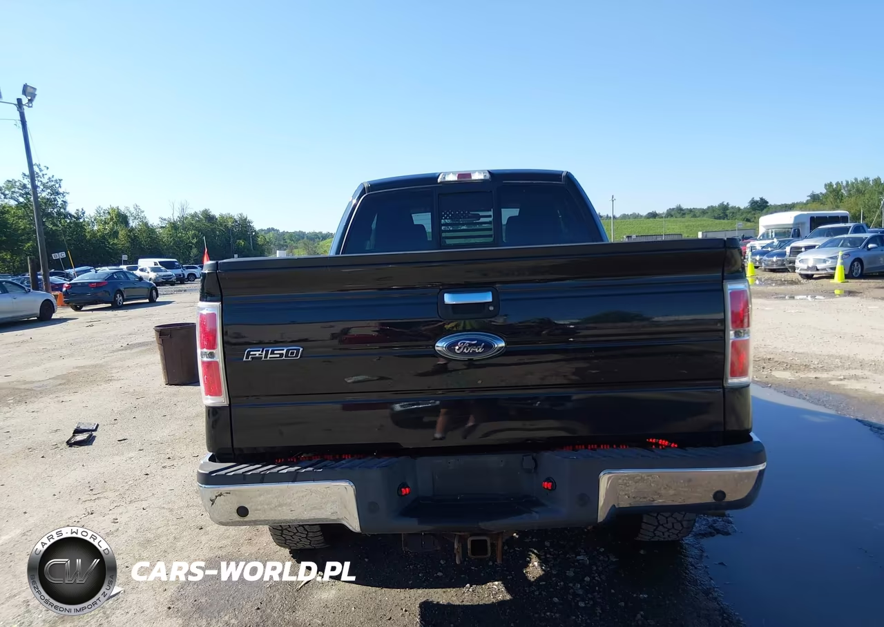 2012 Ford F-150 Xlt VIN:1FTFX1ET3CFB39197 - 16
