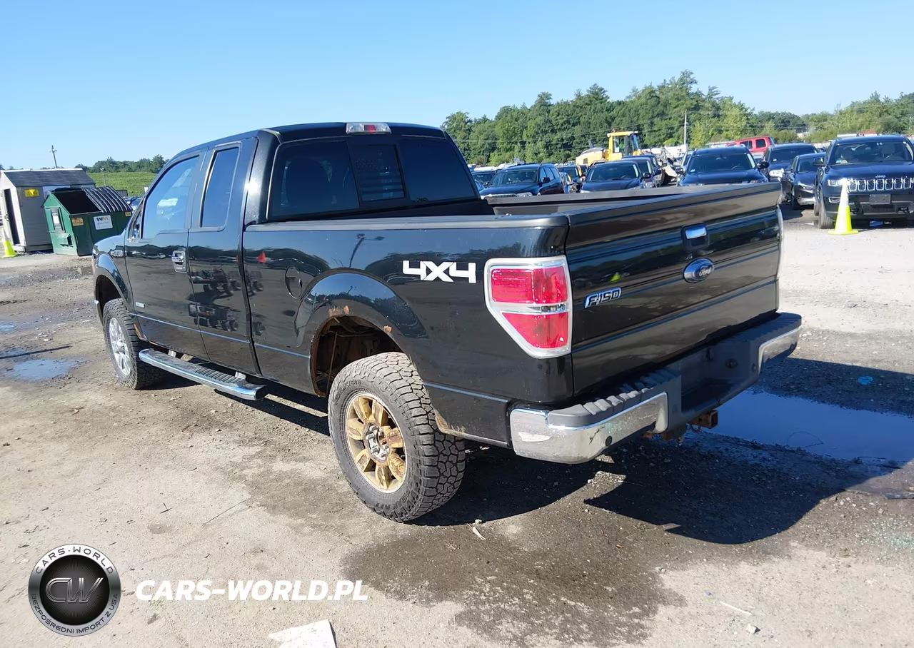 2012 Ford F-150 Xlt VIN:1FTFX1ET3CFB39197 - 3
