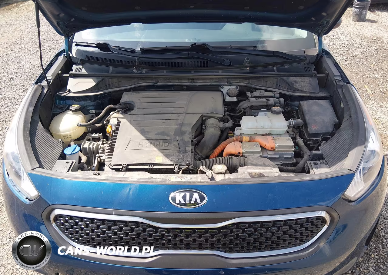 2019 Kia Niro Lx VIN:KNDCB3LCXK5341054 - 10