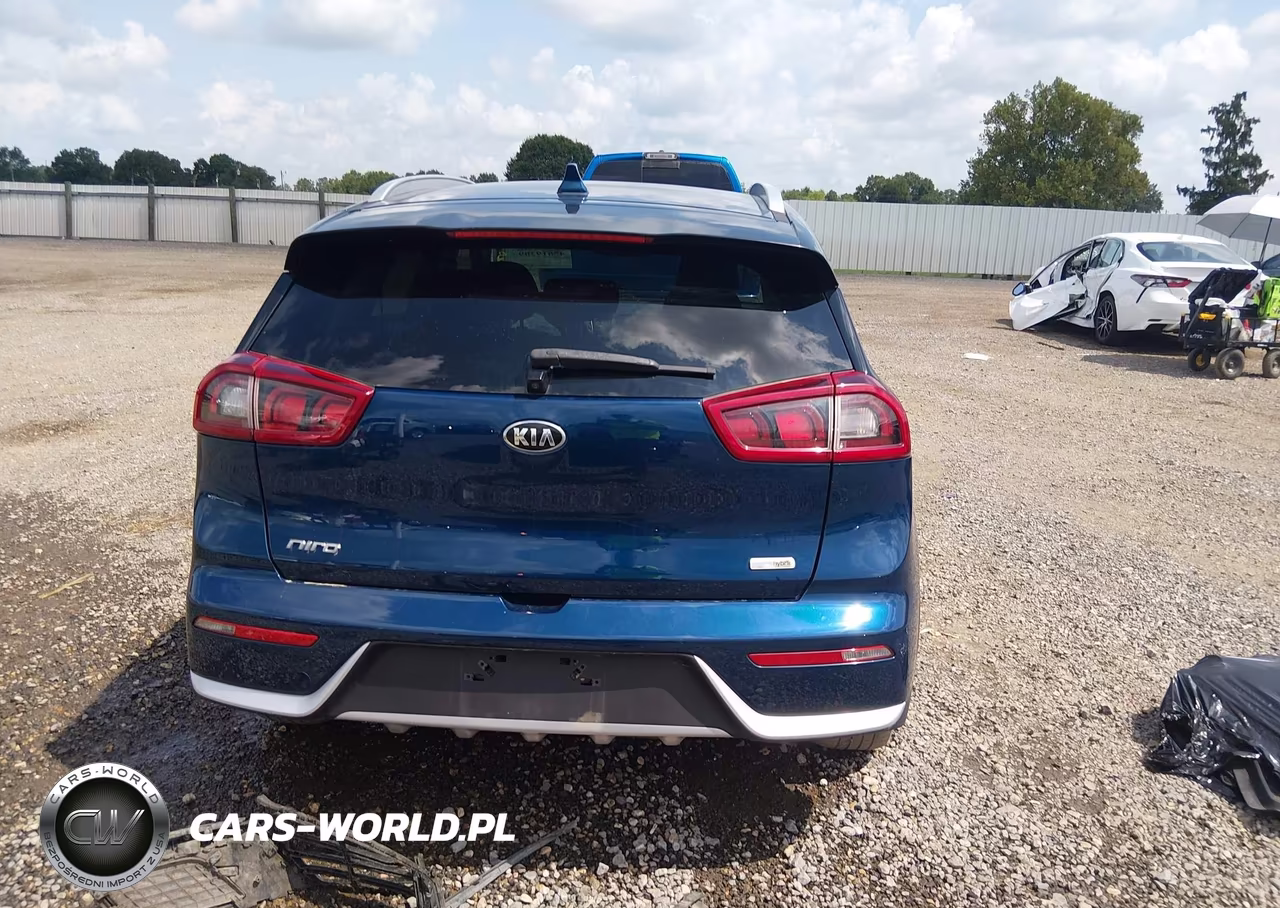 2019 Kia Niro Lx VIN:KNDCB3LCXK5341054 - 17