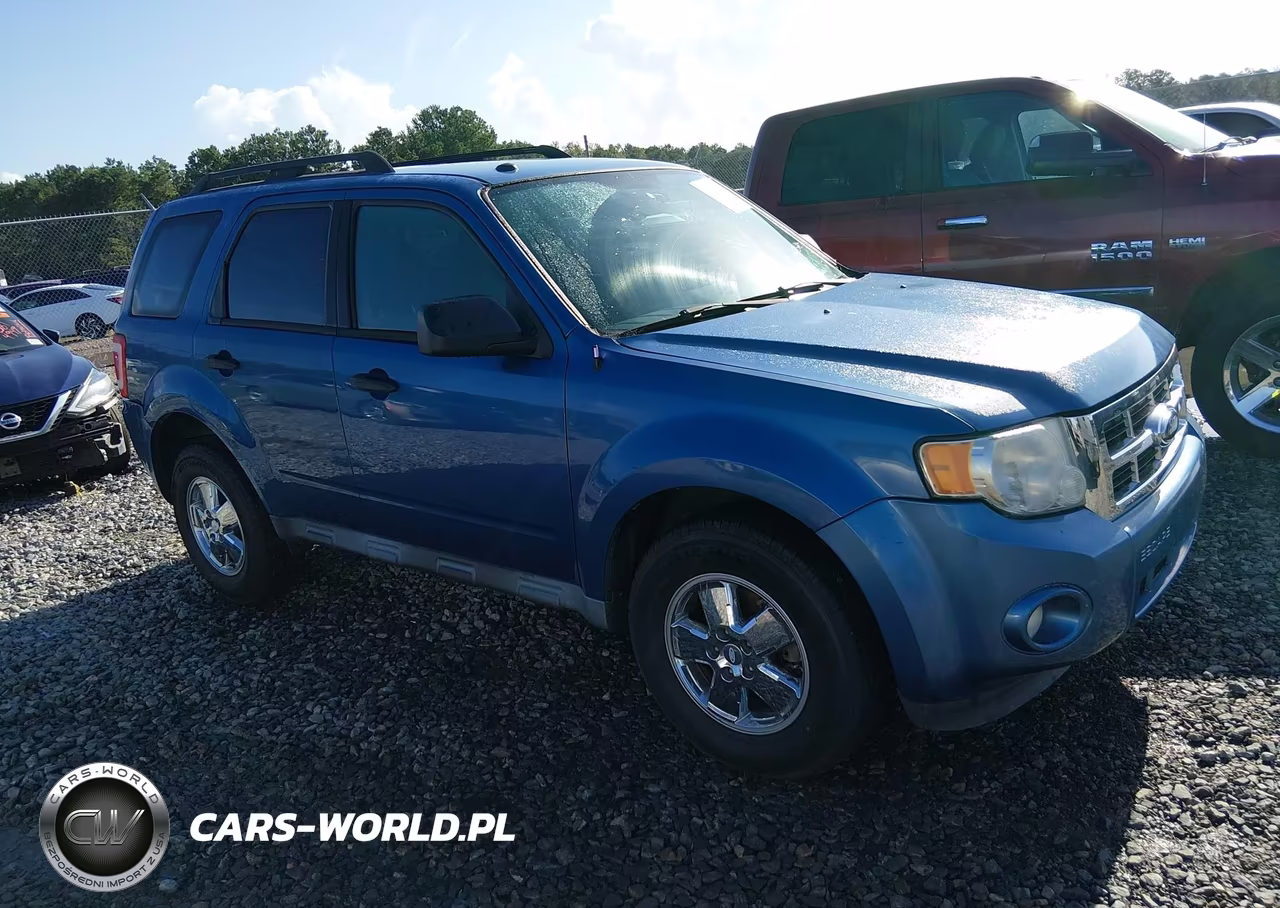 2010 Ford Escape Xlt