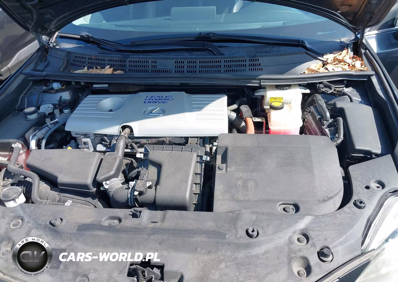 2011 Lexus Ct 200H Premium VIN:JTHKD5BH8B2046274 - 10