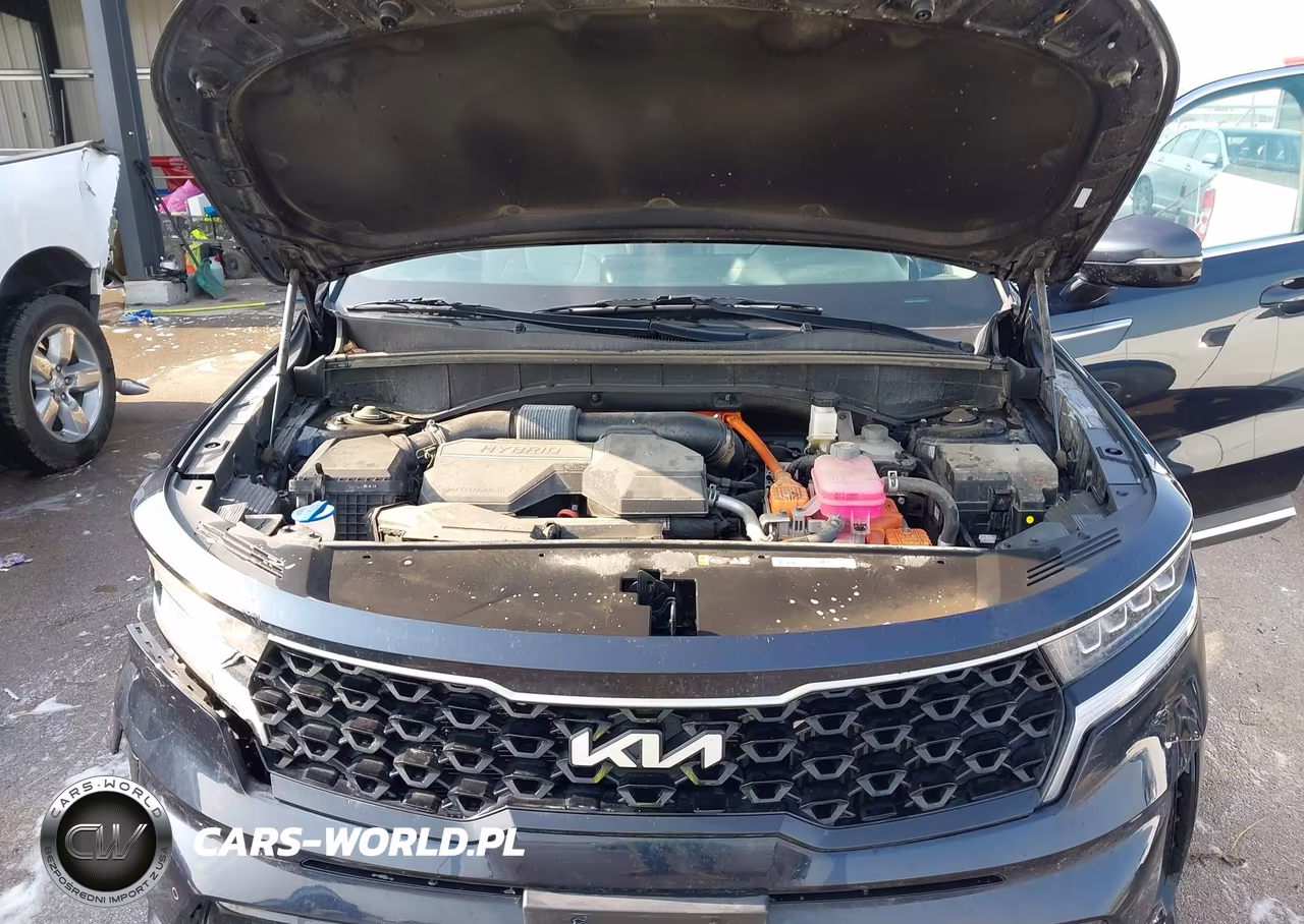 2024 Kia Sorento Hybrid Ex VIN:KNDRHDLG0R5259328 - 10