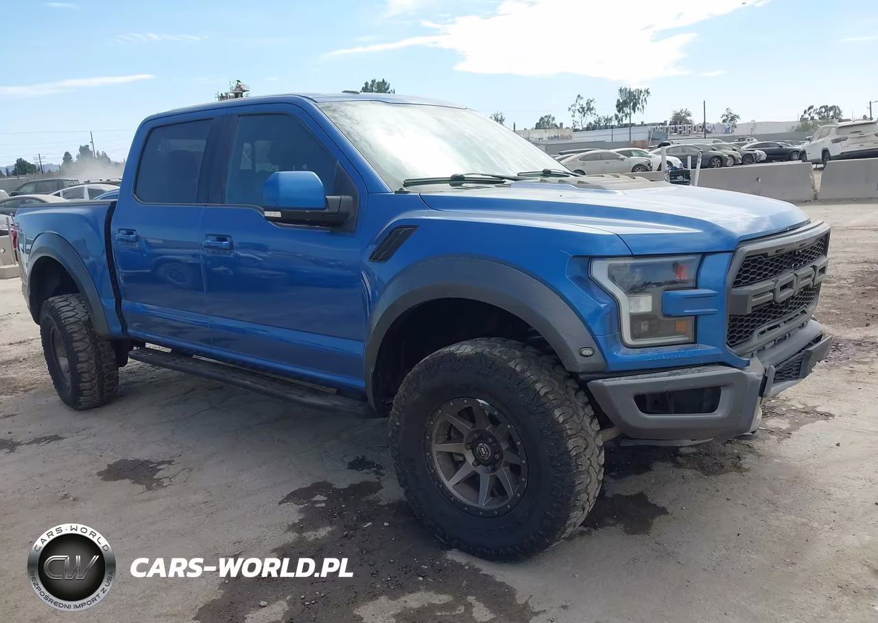 2019 Ford F150 Raptor